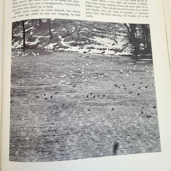 Wild Goose Marsh Horicon Stopover Robert Gard 1st Edition Vintage Wisconsin 1972 - Picture 8 of 12